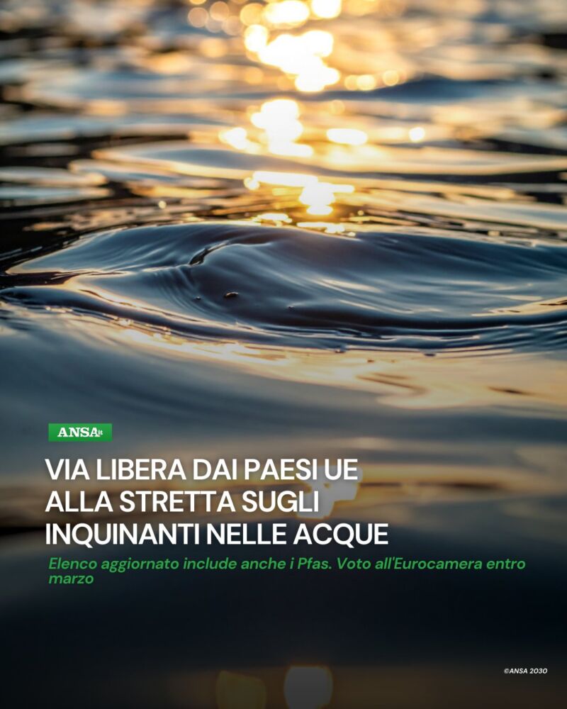 Image for the Tweet beginning: Via libera dai Paesi Ue